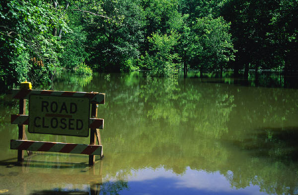 Flooded area