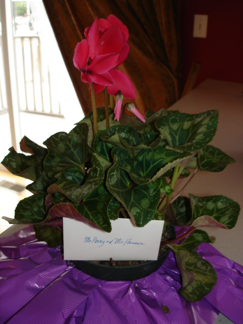 Plant from Seller to Buyers