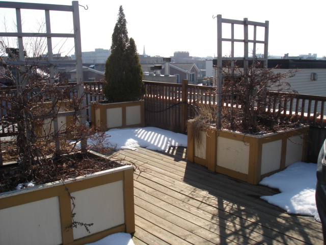 Rooftop deck in Boystown