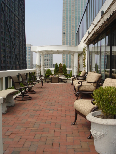 200 E Delaware Penthouse South Terrace 200 E Delaware Penthouse South Terrace