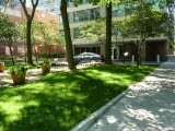click to see photos & details of all 2970 N Lake Shore Drive condos for sale