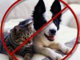 click to see the full list of Gold Coast condos that don't allow pets