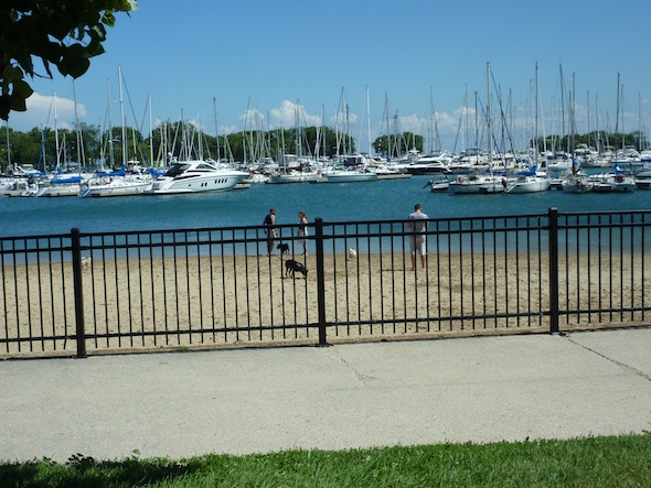 North Lake Shore Drive Dog Beach Dog Beach